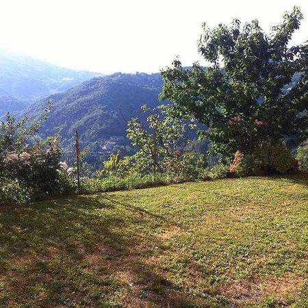 Ospitaci Appartamenti Di Campagna Le Rancole Valtopina Buitenkant foto